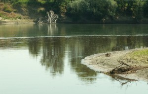 Как пополнить кошелек на кракене даркнет