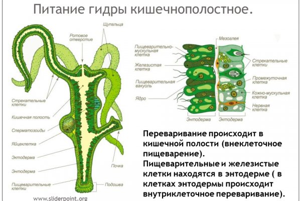 Kraken смылка