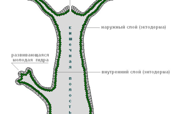 Kraken официальная ссылка tor