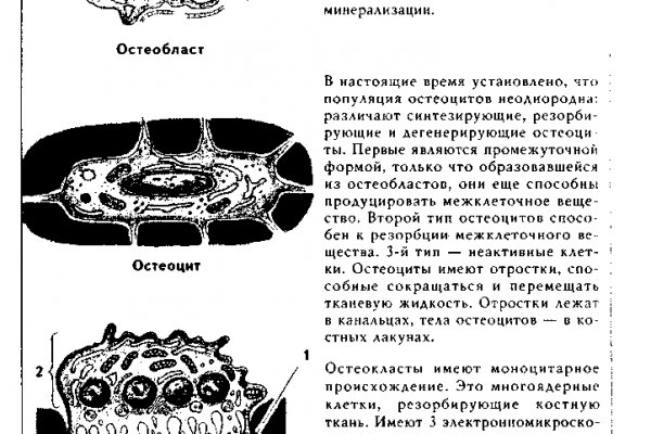 Кракен маркет даркент только через тор